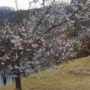 산수유아뜰리에 이미지