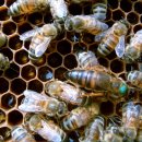 종봉농장 이미지