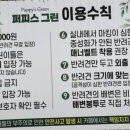퍼피스그린