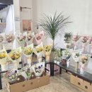 북신시장길 | [통영꽃집 꽃피랑] 통영 졸업식꽃다발 가격 졸업꽃다발 현장구매 방법