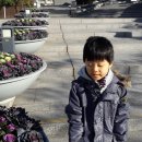 미술 속 도시 도시 속 미술 /국립중앙박물관기획전시실