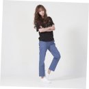 세미