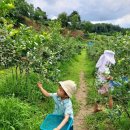 순덕농장 이미지