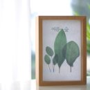 여름의 숲 이미지