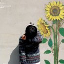 아르 미