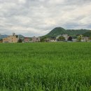 신천1리 마을회관 이미지