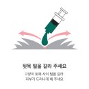 창원약국 | 고양이 심장사상충약 가격 넥스가드캣콤보 창원 마산 저렴한 약국