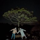 겨울 제주도 놀거리-야경투어 하면서 별구경(위니드제주 내돈내산 야간오름투어)