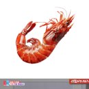 건항외과 - 거제시 | 건항외과