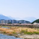 물치천로 이미지