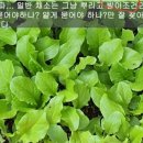 춘화농장 이미지