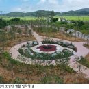 국도13호선 가로수 이미지