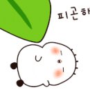 만년미역 - 서구 | 만년미역