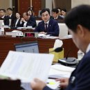 안규백 카카오 검색결과