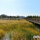 심원면자전거길2 이미지