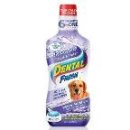 W덴탈랩 이미지