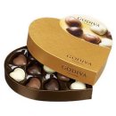 카카오(cacao) 이미지