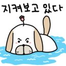 괴산불고기