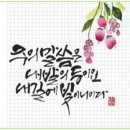 (주)코람데오