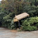 통영비치캐슬호텔 | [블챌] 10월 둘쨋주 기록,