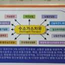 다솔루션