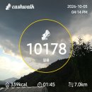 10월5일 요술대파 분주 이미지