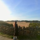 신천목장 | 신풍 신천 바다목장 제주 무료 가볼만한 곳 파도 소리 ASMR