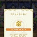 애프터눈쿠키