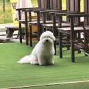 [양양 죽도 서핑샵 추천] 조아서프 조아 💛 (내돈내산/가격/강습후기/서핑샵 결정 팁/사진/주변맛집)