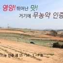등대유기영농조합법인 이미지