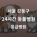Dr. 주 동물병원 | [서울 강동구 24시간 동물병원(길동, 성내동, 명일동)] 반려동물 응급상황 대처 가능한 진료소