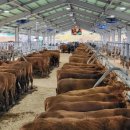 청양축협 이미지