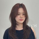 어오즈