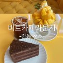 비트커피 - 부천시 원미구 | 천호역 대형카페/천호 디저트 맛집 비트카페라운지 후기