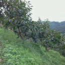 이루농장 이미지