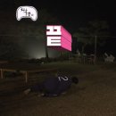 디프만(DEPROMEET) 16기 유저 리서치