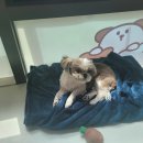 몽꾸르펫트하우스 이미지