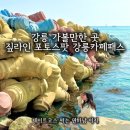 왕복짚라인제주주식회사 | 강릉 가볼만한 곳 인생사진 200% 건지는 사근진해변 무지개 방파제와 스릴 만점 하늘자전거 코스 강릉...