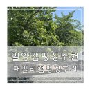 캠핑장 추천 밀양 패밀리 오토 캠핑장 나무테크 파쇄석 솔직한 후기