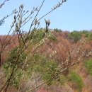 월암사 주차장 이미지