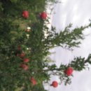 범은농장 이미지