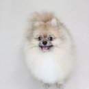 아토그루밍 이미지