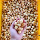 엘지탑마트 이미지