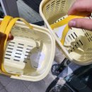 버블하우스 | 성수 | 5월 팝업스토어 휩드 피치스파 방문후기