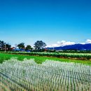 창신세탁소 이미지