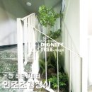 힐파크 | 조화조경인테리어, 실내 인조식물화단, 논현동 히든힐파크빌딩! 자연이끼/느티나무