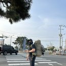 도동약국 | 울릉도 1일차 여행시작 포항무료주차장 정보, 독도입도 하루만에 성공한 후기