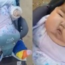 맘마 인사이트