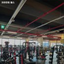 자이언트헬스 이미지