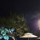 라일락카페라일락리조트 이미지